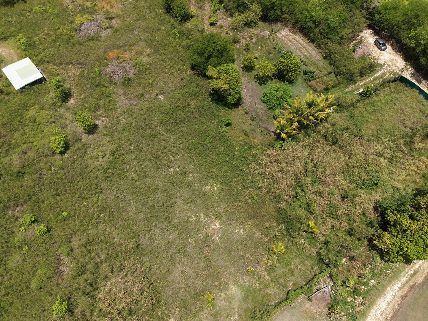 Terrain SAINTE ANNE (97180) 1520.32 m&sup2;