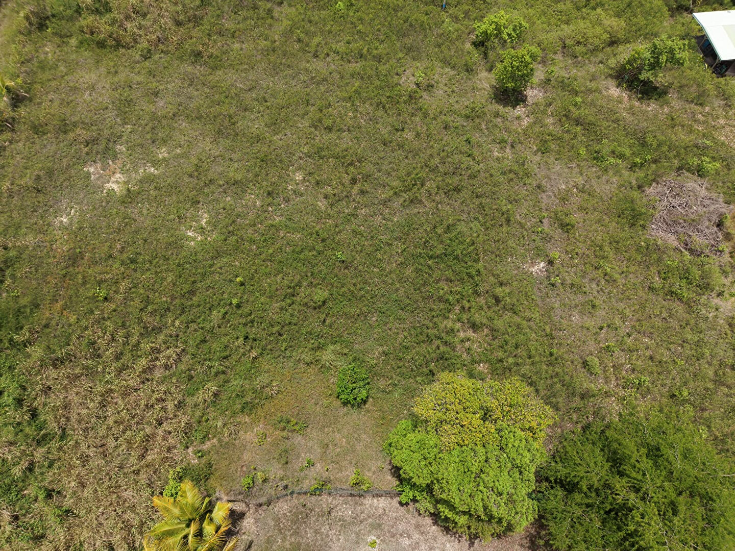 Terrain SAINTE ANNE (97180) 1520.32 m&sup2;