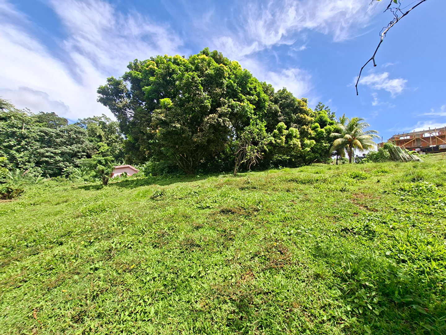 Terrain SAINTE MARIE (97230) 5170.00 m&sup2;