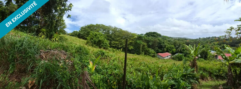 Terrain DUCOS (97224) 4546.00 m&sup2;
