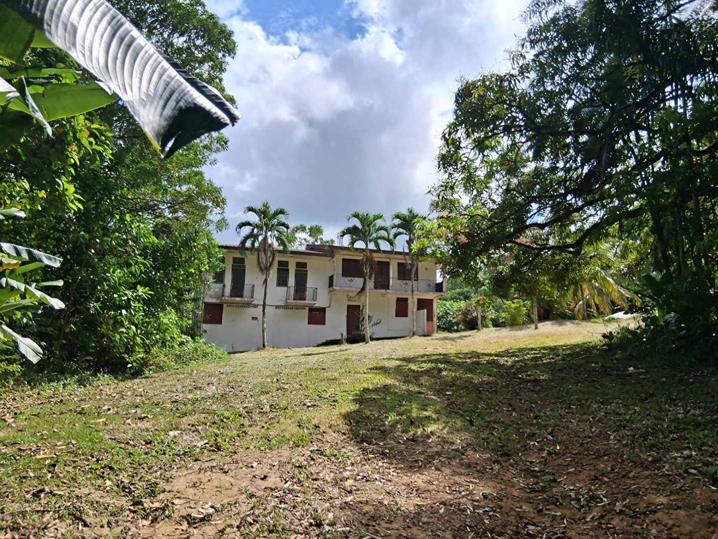 Immeuble MATOURY (97351) 7 pi&egrave;ces 245.00 m&sup2;