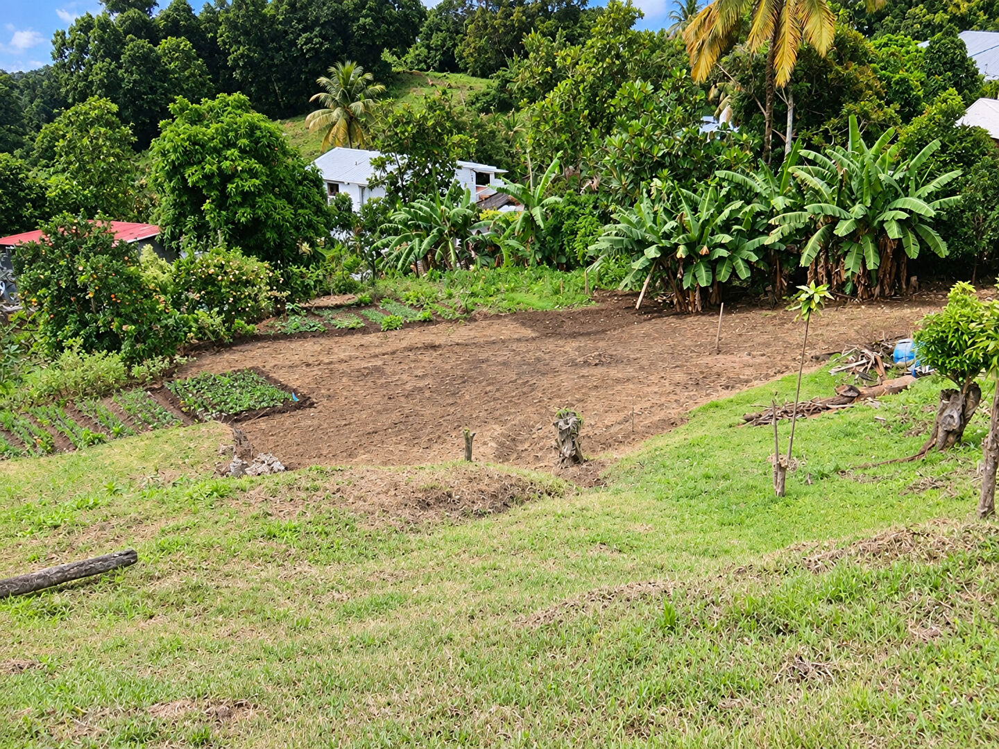 Terrain LE MORNE VERT (97226) 892.00 m&sup2;