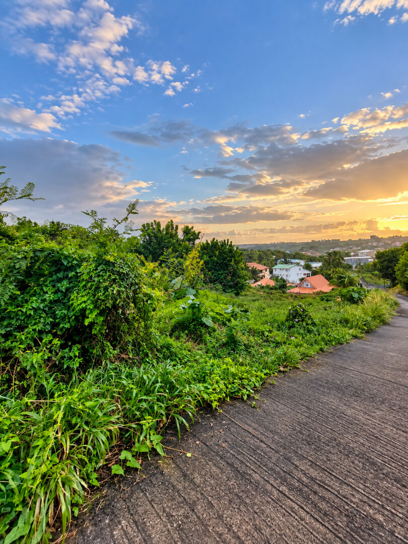 Terrain LE MARIGOT (97225) 1673.00 m&sup2;