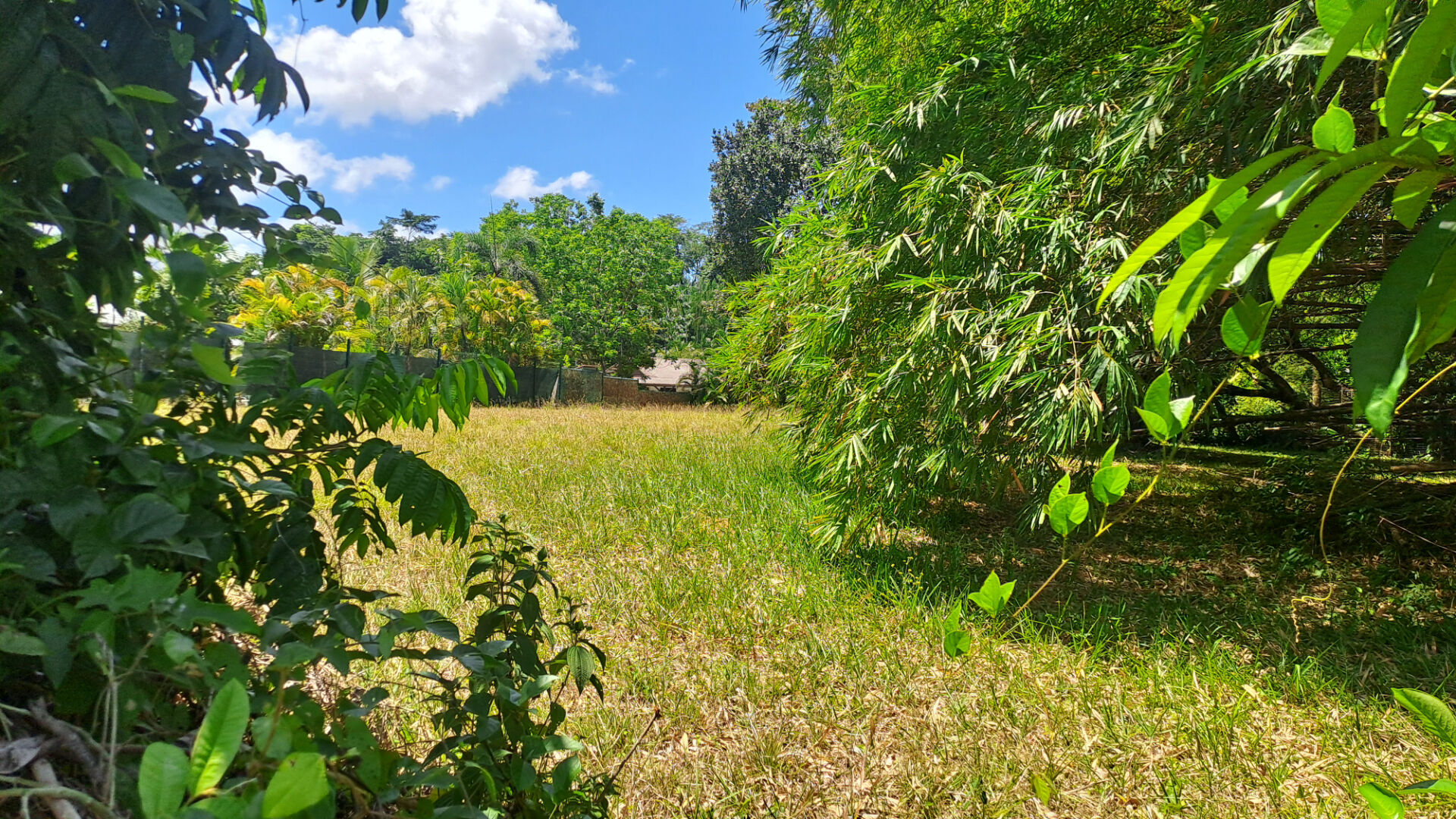 Terrain  (97300) 4019.00 m&sup2;
